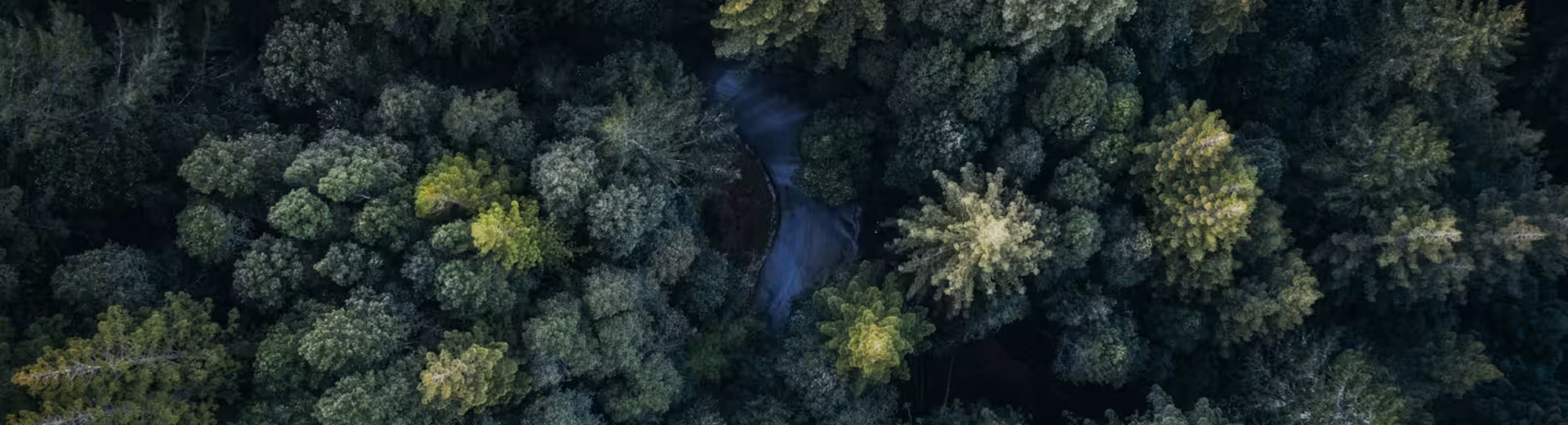 Der unbestrittene europäische Marktführer